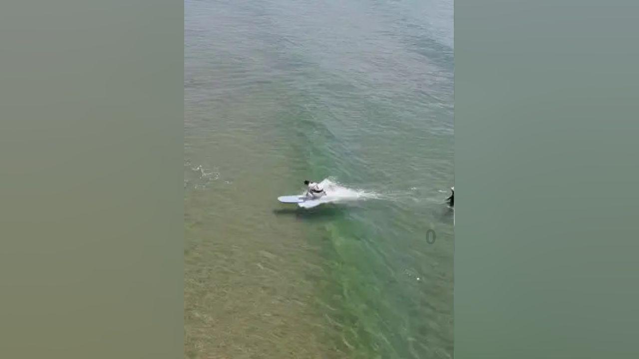 大央企信托--浙江湖州1年期政信