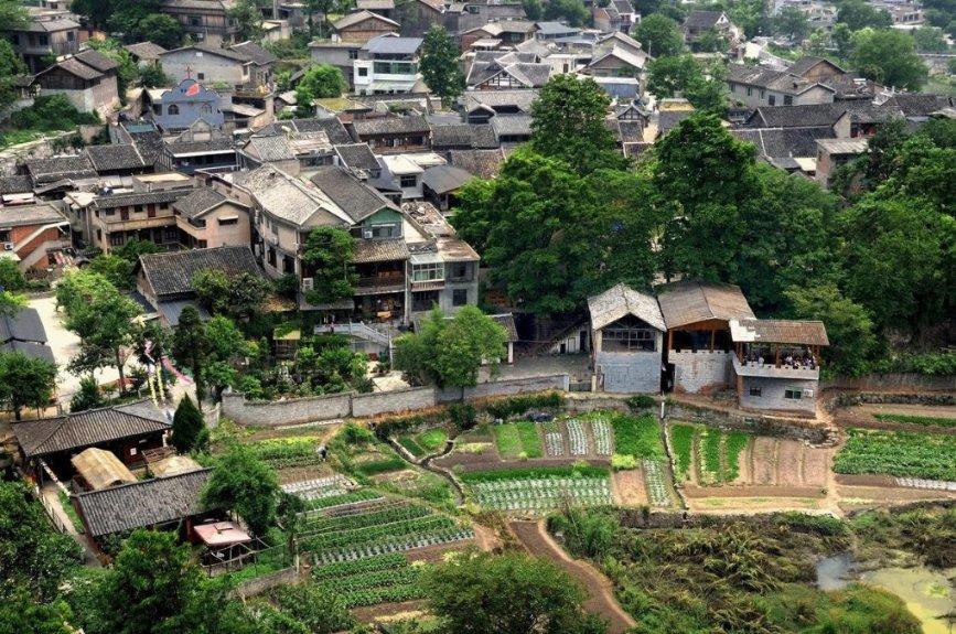 逃离阴森的岛屿